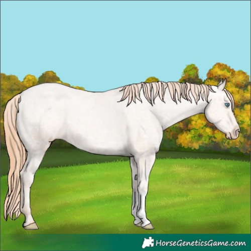 Horse Color:Amber Champagne Ice Pearl Varnish