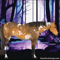 Horse Color:White Spotted Buckskin 