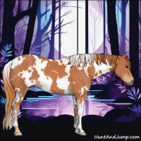 Horse Color:White Spotted Chestnut 