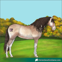Horse Color:Sable Champagne Onyx Sabino