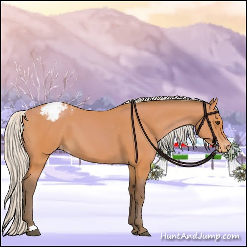 Horse Color:Silver Bay Appaloosa
