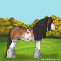 Horse Color:Brown Sabino