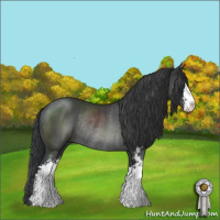 Horse Color:Black Sabino Rabicano 