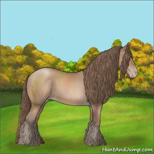 Horse Color:Black Pearl