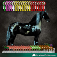 Horse Color:ERROR: UNKNOWN ANOMALY
