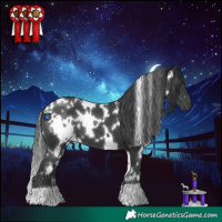 Horse Color:White Spotted Black