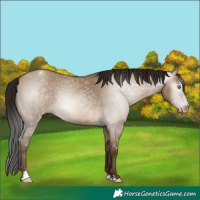 Horse Color:Gray Sable Champagne Dun Sabino 