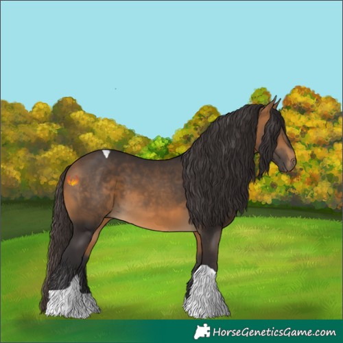 Horse Color:Buckskin Tobiano