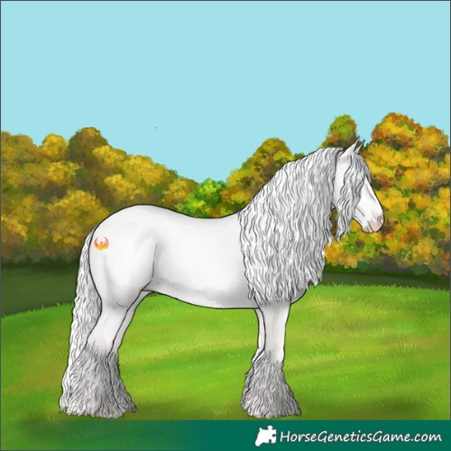 Horse Color:Silver Perlino Dun 