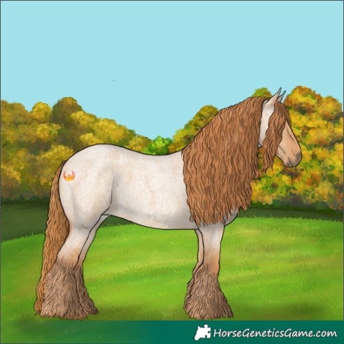 Horse Color:Red Dun Roan 