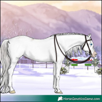 Horse Color:Chocolate Silver Grullo Sabino Splash Appaloosa 