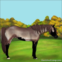 Horse Color:Void Chocolate Blue Onyx Sabino Splash 