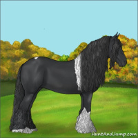 Horse Color:Black Tobiano 