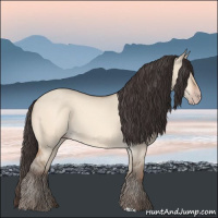 Horse Color:Amber Champagne Dun 