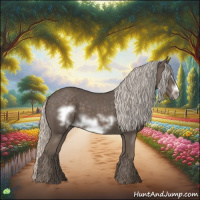 Horse Color:Silver Black Frame