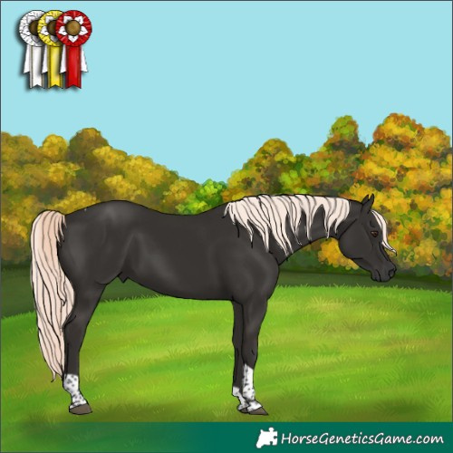 Horse Color:Liver Chestnut Mushroom Tobiano 