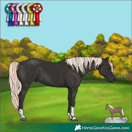 Horse Color:Liver Chestnut Mushroom Tobiano 