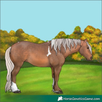 Horse Color:Silver Buckskin Tobiano 