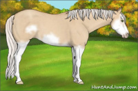 Horse Color:Silver Classic Champagne Dun Splash Frame 