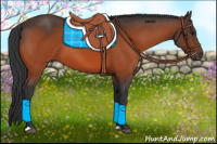 Horse Color:Brown 