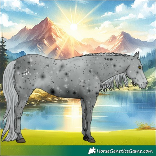 Horse Color:ERROR: UNKNOWN ANOMALY