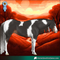 Horse Color:Liver Chestnut Tobiano 