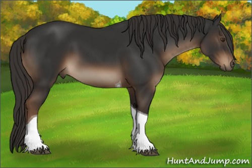 Horse Color:Liver Chestnut Tobiano 