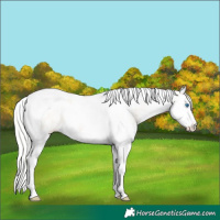 Horse Color:White Spotted Silver Smoky Creme Dun Splash Tobiano Rabicano