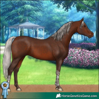 Horse Color:Silver Brown Tobiano Rabicano
