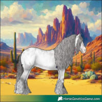 Horse Color:Platinum Bay Roan Onyx Appaloosa 