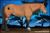 Horse Color:Bay Roan Rabicano 