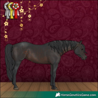 Horse Color:Brown 