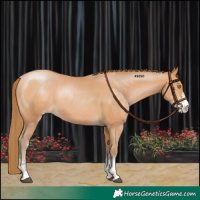 Horse Color:Bay Pearl 