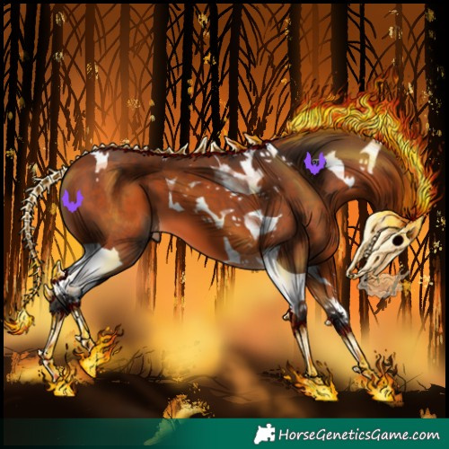 Horse Color:Bay Tobiano 