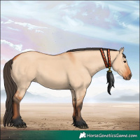 Horse Color:Bay Dun