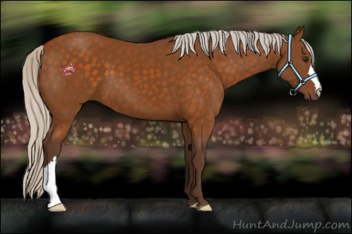 Horse Color:Silver Buckskin