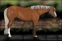 Horse Color:Silver Buckskin 