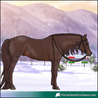 Horse Color:Chocolate Brown 