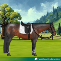 Horse Color:Brown Tobiano 