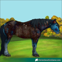 Horse Color:ERROR: UNKNOWN ANOMALY