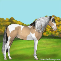 Horse Color:Gray Amber Champagne Dun Splash Tobiano