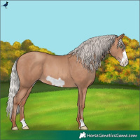 Horse Color:Silver Sable Champagne Frame