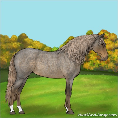 Horse Color:Chocolate Palomino Roan 