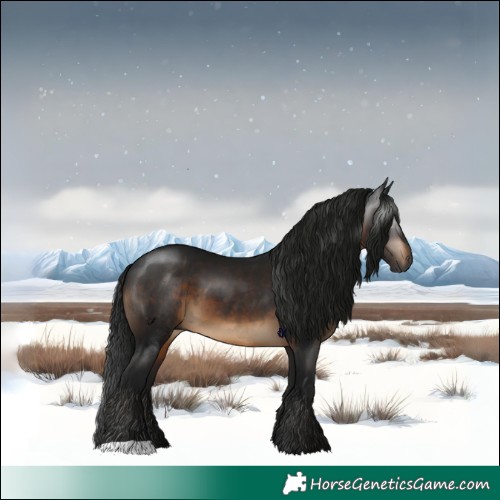 Horse Color:Gray Brown 