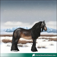 Horse Color:Gray Brown 
