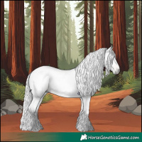 Horse Color:Gray Silver Brown Tobiano 