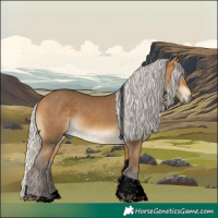 Horse Color:Void Silver Buckskin Tobiano 