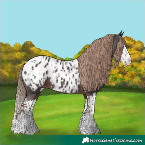 Horse Color:Liver Chestnut Sabino Splash Blanket  and Liver Chestnut Sabino Splash Blanket 