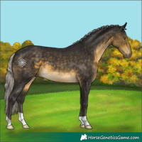 Horse Color:Silver Buckskin 
