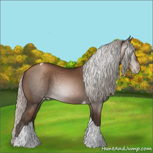 Horse Color:Gray Silver Black Pearl Tobiano